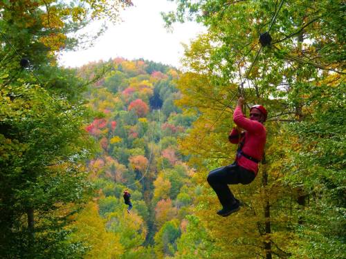 Two people ziplining through a vibrant forest with colorful autumn leaves in the background.