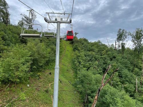 A red gondola ascends a green hillside, with trees and a cloudy sky in the background.