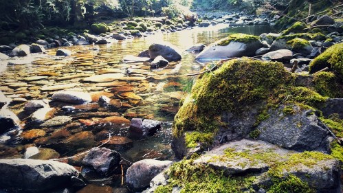 A serene river scene with smooth stones and moss-covered rocks, surrounded by lush greenery and calm water reflections.