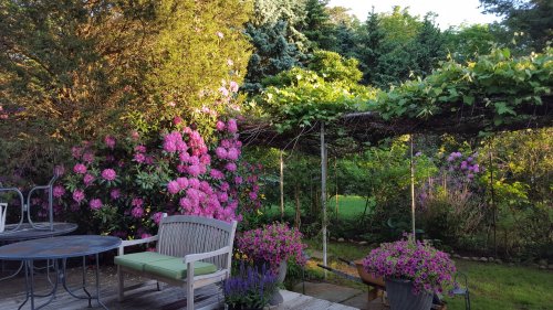 A vibrant garden scene with blooming flowers, a wooden bench, and a table surrounded by lush greenery and sunlight.