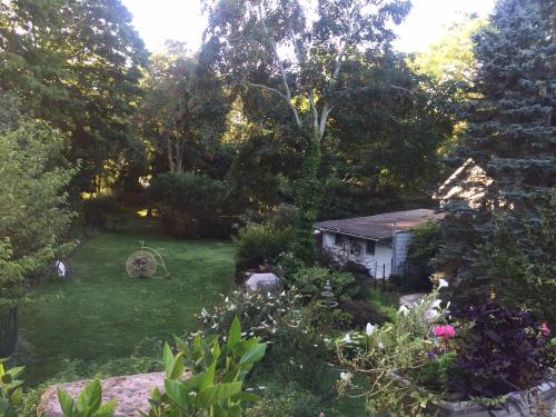 A lush backyard scene with trees, a small shed, and garden plants in a serene, green setting.