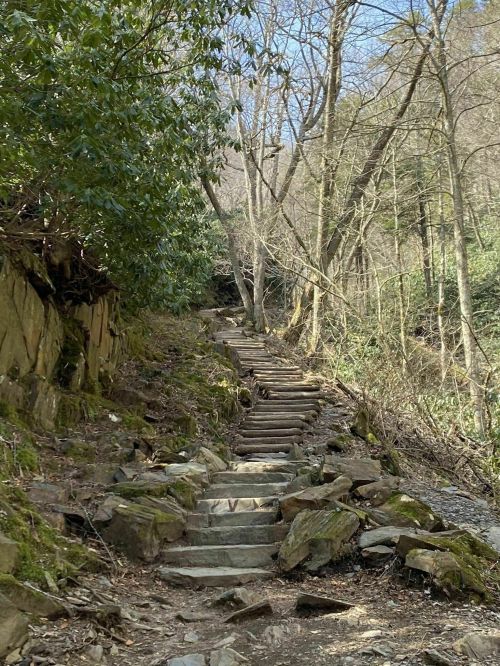 A winding stone and wooden staircase leads through a wooded area with bare trees and rocky terrain.