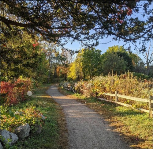 A serene path lined with trees and colorful foliage, leading through a peaceful natural setting.