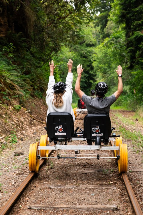Two people on a rail cart raise their hands in excitement while riding along a forested railway track.