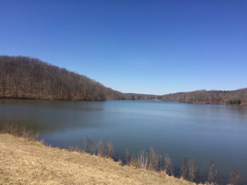 A serene lake surrounded by bare trees under a clear blue sky, with grassy shorelines in the foreground.