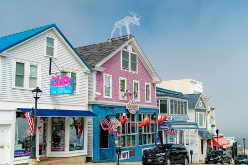 Colorful seaside shops with a large moose statue on the roof, decorated for a festive atmosphere.