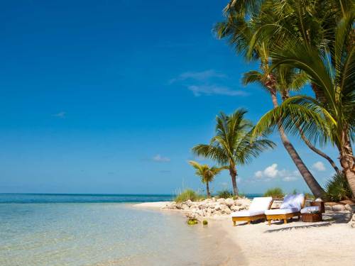 A serene beach scene with palm trees, clear water, and lounge chairs under a bright blue sky.