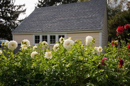 A quaint house with a gray roof surrounded by blooming white and pink flowers in a garden.