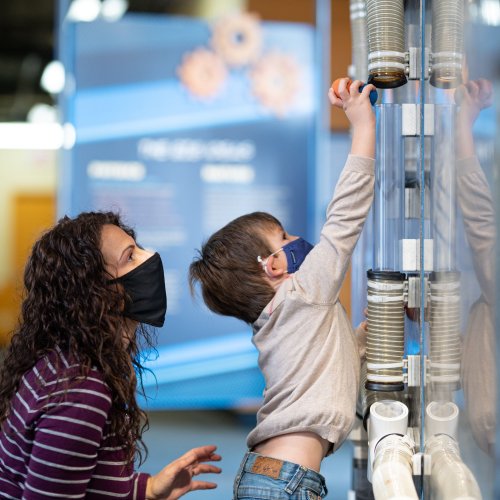 A woman and a young boy wearing masks interact with a hands-on exhibit, reaching for an object on a display.