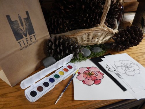 A watercolor palette, sketches, and a Tifft Nature Preserve bag on a wooden table with pinecones and stones.
