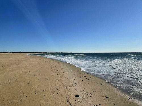 A serene beach scene with gentle waves lapping at the shore under a clear blue sky.