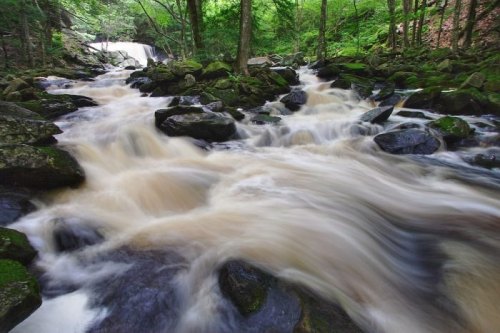 A flowing river with smooth water over rocks, surrounded by lush green trees and a waterfall in the background.