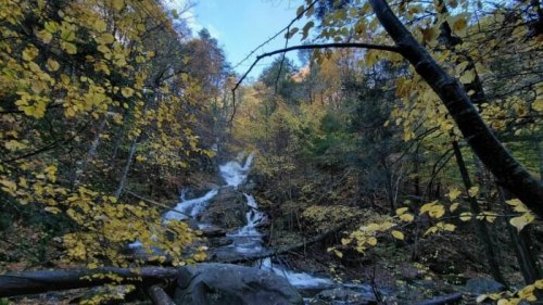 A serene waterfall cascades through a forest of vibrant autumn leaves and rocky terrain.