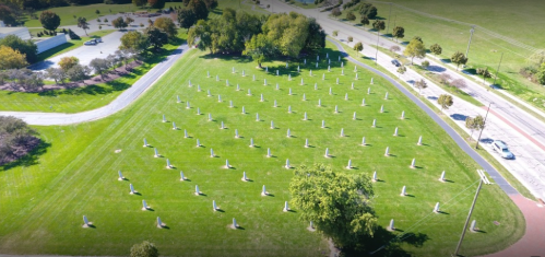 Aerial view of a grassy field with white pillars arranged in rows, surrounded by trees and a road.