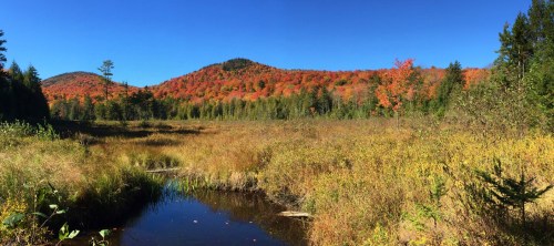 A vibrant autumn landscape featuring colorful trees, a clear blue sky, and a serene pond in the foreground.