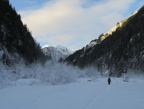 A person walks through a snowy landscape, surrounded by tall trees and mountains under a partly cloudy sky.