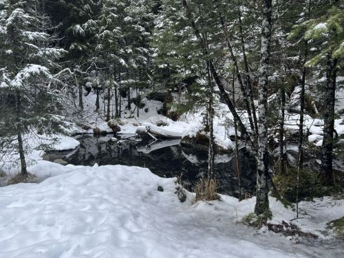 A serene winter scene with a snowy landscape, trees, and a calm, partially frozen stream.