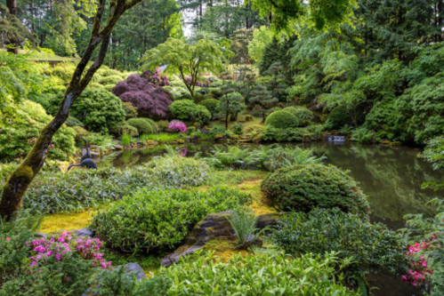 Lush garden with vibrant greenery, colorful flowers, and a serene pond surrounded by trees and shrubs.
