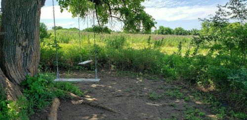 A wooden swing hangs from a tree in a lush, green field under a clear blue sky.