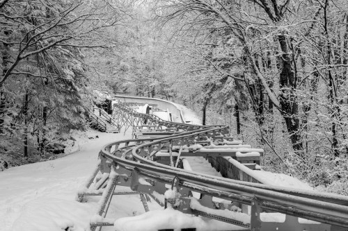 A snowy landscape featuring winding roller coaster tracks surrounded by trees, creating a serene winter scene.
