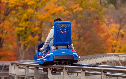 A person rides a blue alpine coaster on a track surrounded by colorful autumn foliage.