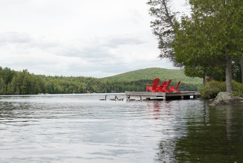 A serene lake scene featuring a wooden dock with red chairs and ducks swimming nearby, surrounded by lush greenery.