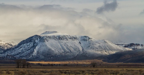 Snow-capped mountain under a cloudy sky, with a grassy foreground and distant trees.