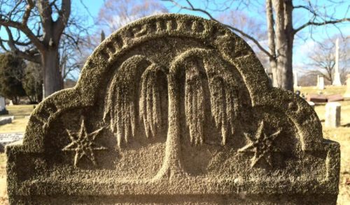 Close-up of a weathered gravestone featuring a carved tree and star motifs, set in a cemetery with bare trees.