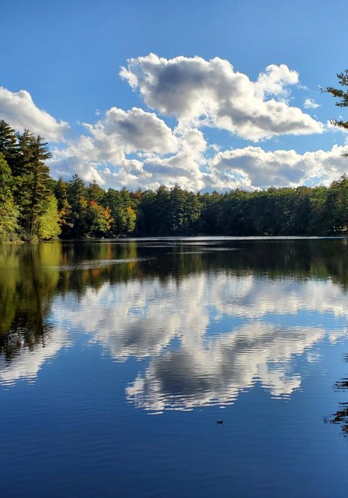 A serene lake reflects fluffy clouds and surrounding trees under a bright blue sky.