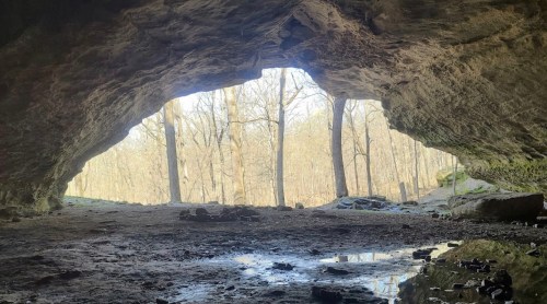 View from inside a cave, showing a rocky entrance and trees in the background under a clear sky.