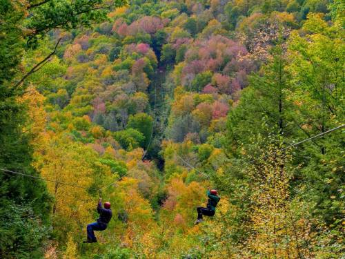Two people ziplining through a vibrant forest with colorful autumn foliage in shades of orange, yellow, and green.