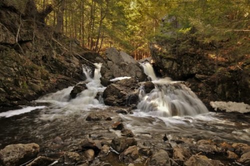A serene waterfall cascades over rocks, surrounded by lush green trees in a tranquil forest setting.