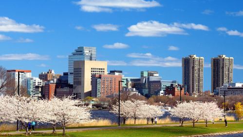 City skyline with modern buildings, blooming cherry trees in the foreground, and a blue sky with fluffy clouds.