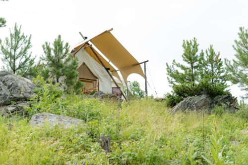 A tent with a canopy sits among rocks and greenery, surrounded by tall grass and pine trees.
