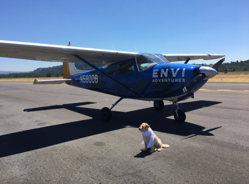 A blue airplane with "ENVI ADVENTURES" on the side parked on a runway, with a dog sitting in front wearing a scarf.