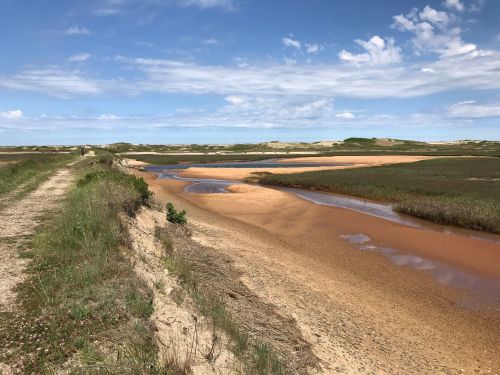 A serene landscape featuring a winding river, sandy banks, and lush greenery under a blue sky with scattered clouds.