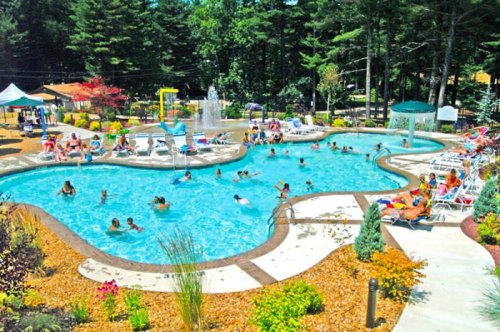 A vibrant outdoor pool scene with people swimming, lounging, and enjoying the sun surrounded by greenery and colorful flowers.
