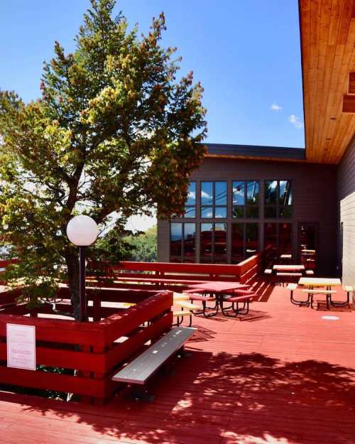 A sunny outdoor deck with red wooden railings, picnic tables, and a tree, adjacent to a modern building.