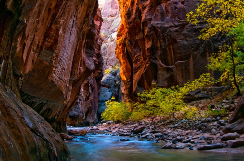A narrow canyon with towering red rock walls, a flowing river, and vibrant green trees along the banks.