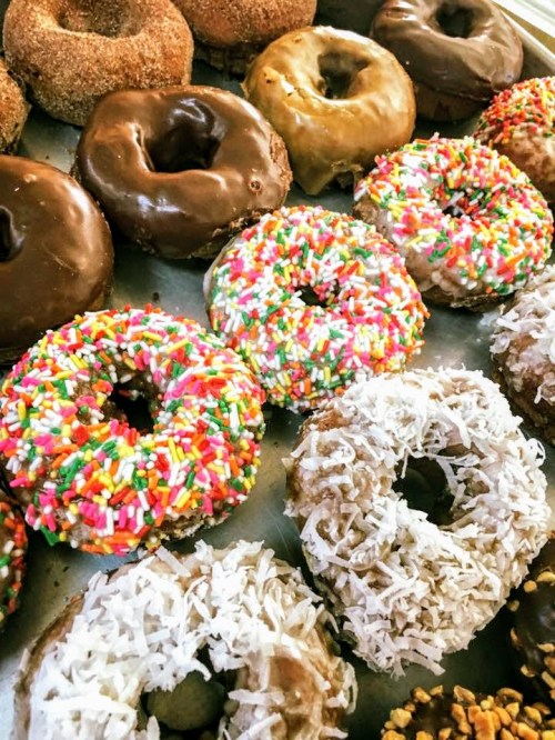 A variety of colorful donuts with sprinkles, chocolate glaze, and coconut topping arranged on a tray.