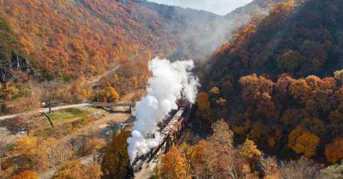 A steam train chugs through a vibrant autumn landscape with colorful trees and mist rising in the mountains.