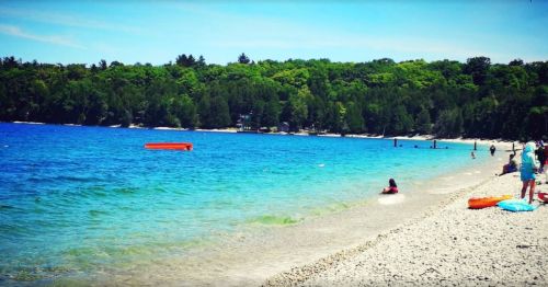 A sunny beach scene with clear blue water, a sandy shore, and people enjoying the outdoors under a green tree line.