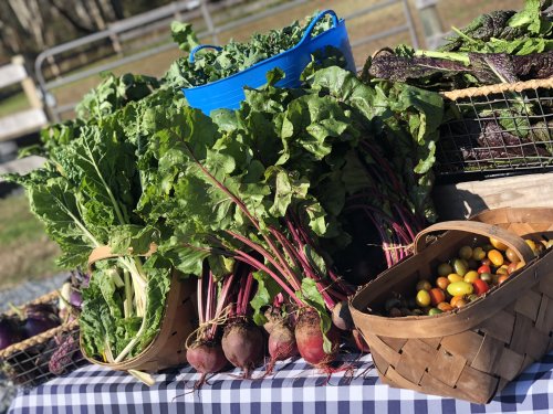 A variety of fresh vegetables, including beets and greens, displayed in baskets on a checkered tablecloth.