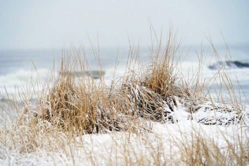 Snow-covered grass in the foreground with a blurred ocean and waves in the background on a gray, wintry day.