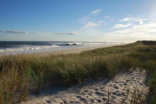 A serene beach scene with rolling waves, sandy shore, and tall grass under a clear blue sky.