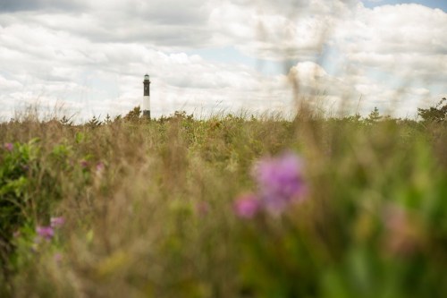 A distant lighthouse stands among tall grass and wildflowers under a cloudy sky.