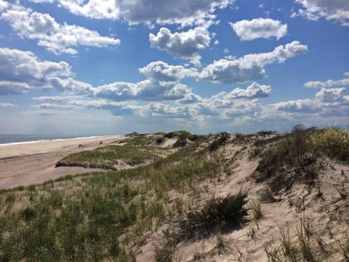 A sandy beach with grassy dunes under a blue sky filled with fluffy clouds. People walk in the distance along the shore.