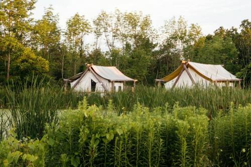 Two tents nestled among tall green grasses and trees by a serene body of water, under a clear sky.