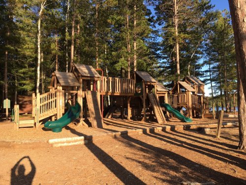 A wooden playground with slides, surrounded by tall trees and a clear blue sky.
