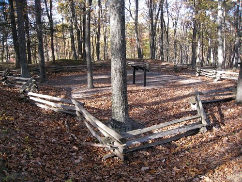 A wooded area with a circular fence, surrounded by trees and covered in fallen leaves.